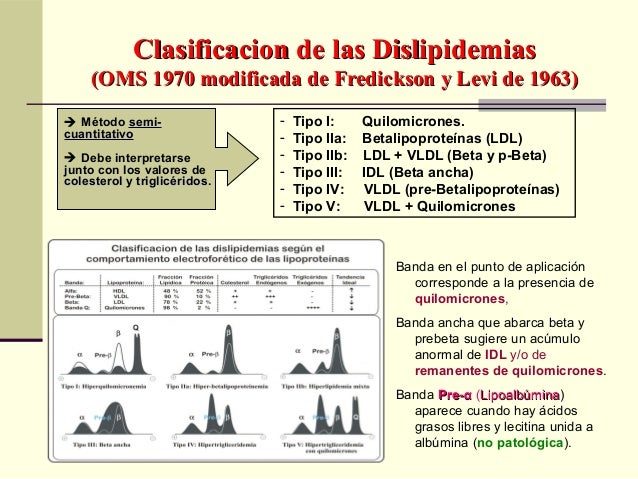 electroforesis de lipoproteinas